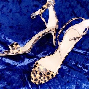 Ann Taylor